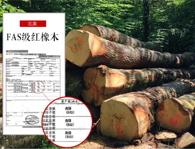 為什么選擇光明家具